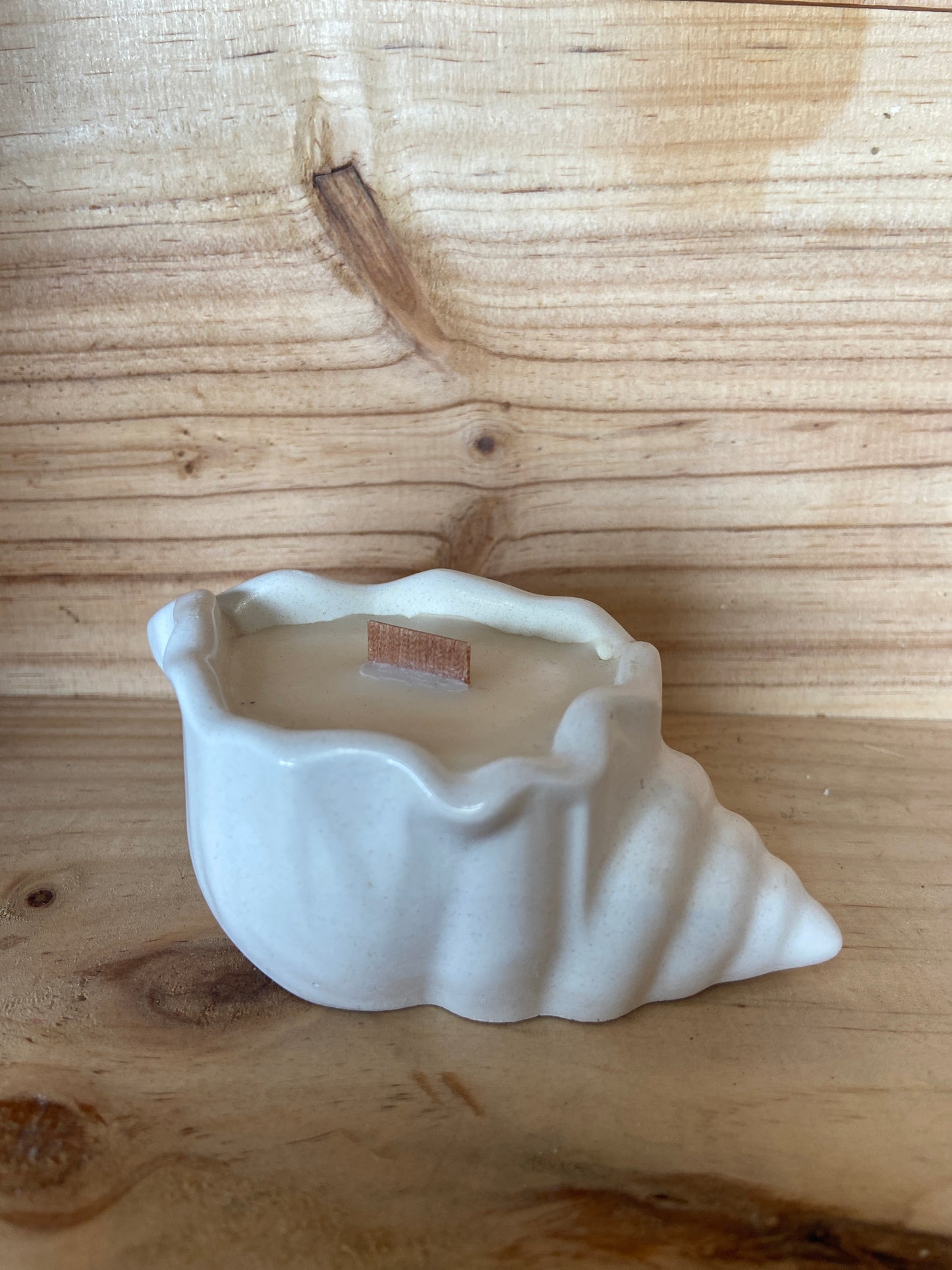 Bougie coquillage parfum fleur de coton