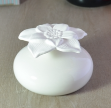 Diffuseur d'ambiance par capillarité - Narcisse blanc