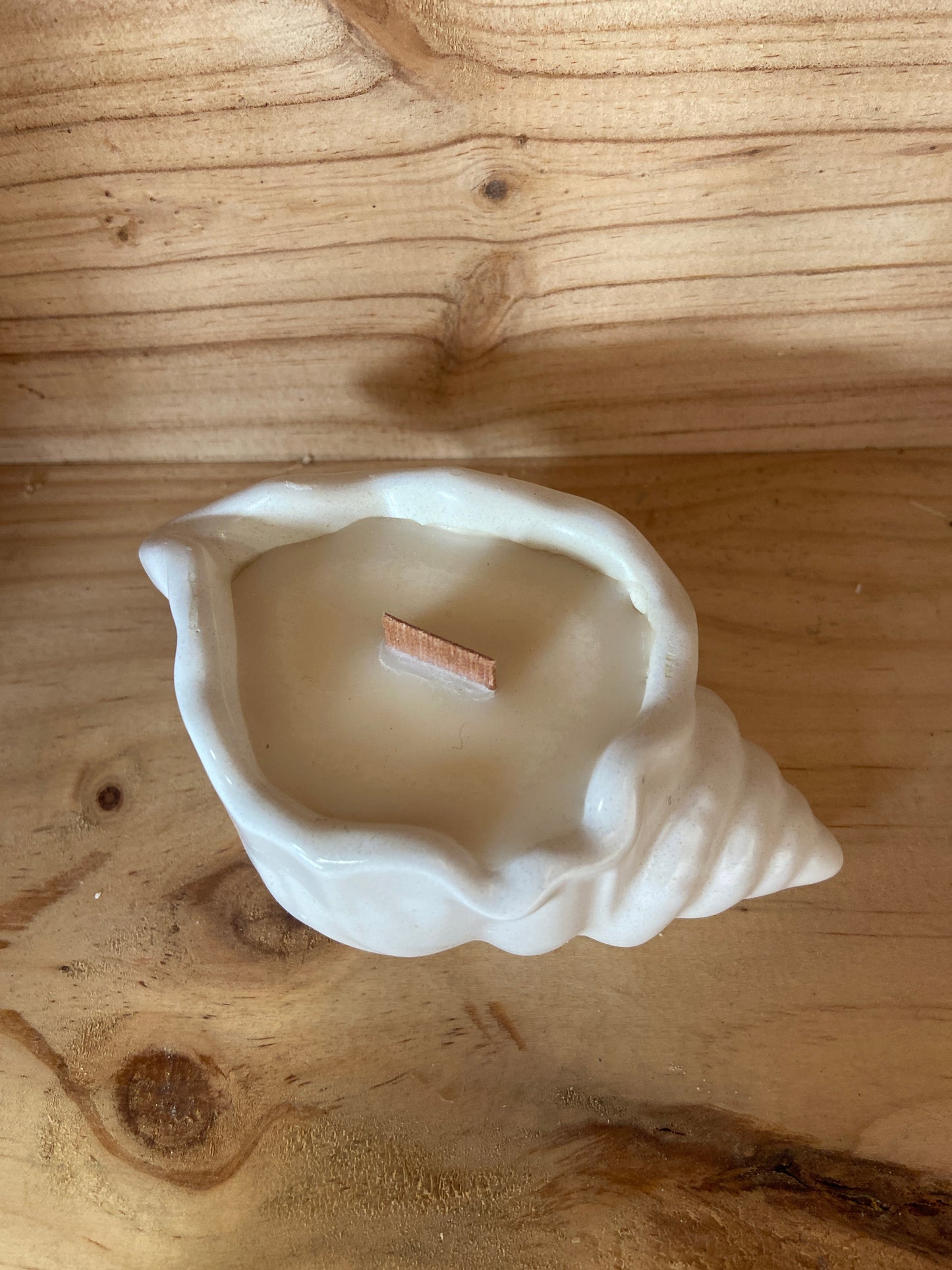 Bougie coquillage parfum fleur de coton